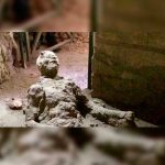 Murió autocomplaciéndose. Se viraliza imagen de hombre petrificado