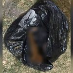 México: Dejan brazos desmembrados dentro de una bolsa frente al Ministerio Público