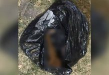 México: Dejan brazos desmembrados dentro de una bolsa frente al Ministerio Público