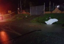 Costa Rica: Joven motociclista fallece tras volcar y chocar contra pared