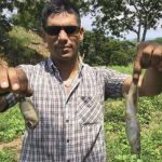 Lluvia de peces sorprende a hondureños