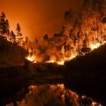 Suben a 62 los muertos en incendio forestal de Portugal