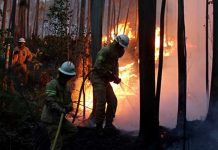 Portugal avanza en control de incendio forestal