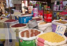 Reportan estabilidad de precios en cinco mercados de Managua nicaragua, precios, mercados, canasta basica,