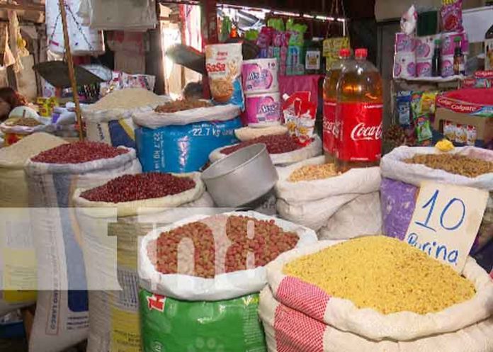 nicaragua, precios, mercados, canasta basica,