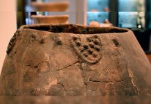Arqueólogos descubren evidencias de la producción de vino hace 8.000 años