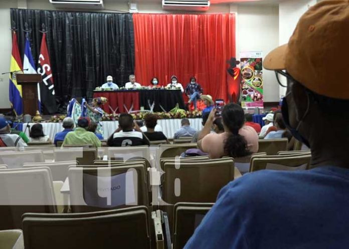 nicaragua, leon, produccion, economia,