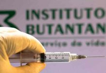 Brasil suspende producción de vacuna CoronaVac por falta de insumos brasil, produccion, vacuna,