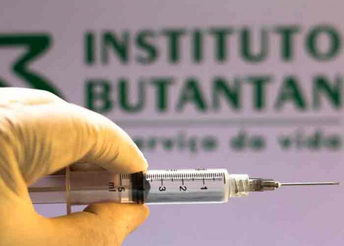 brasil, produccion, vacuna,