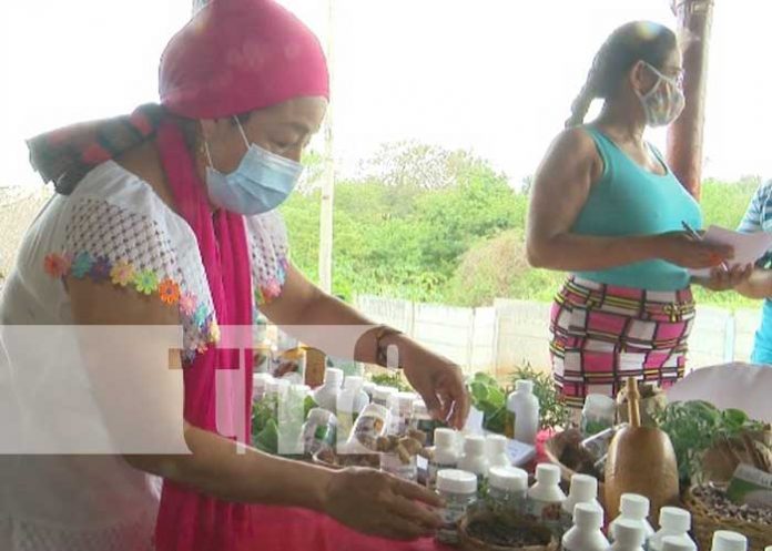 nicaragua, encuentro, producto natural, feria, economia familiar,