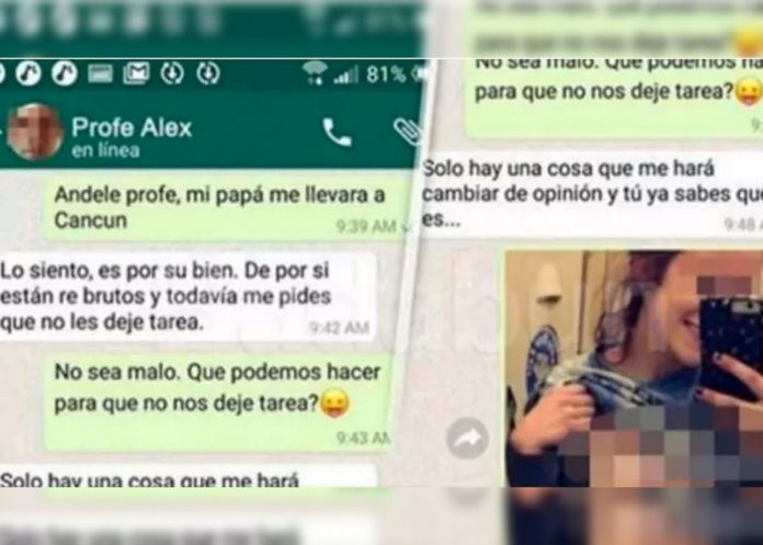 profesor-pedia-portada