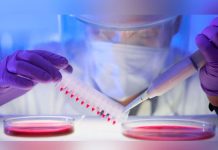 Logran un revolucionario avance contra el cáncer de sangre