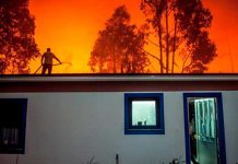 Portugal: Protección Civil confirma 27 muertos en los incendios