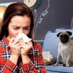¿Tienes alergia y no sabes por qué? Quizá sea a tu mascota