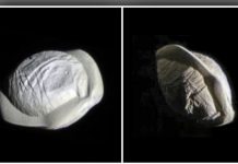 La luna más extraña de Saturno parece un ravioli