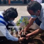 nicaragua, managua, reforestacion, plantas, colegio republica de argentina,
