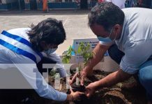 nicaragua, managua, reforestacion, plantas, colegio republica de argentina,