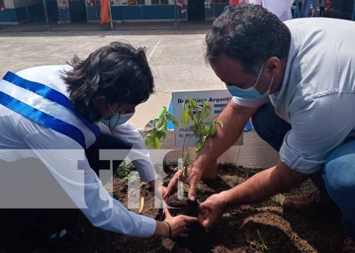 reforestacion-colegio-managua-1 nicaragua, managua, reforestacion, plantas, colegio republica de argentina,