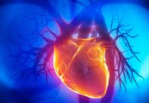 ¿Es posible regenerar el corazón humano? Al parecer sí