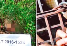 Honduras: Condenan a violador a quien víctima le arrancó la lengua