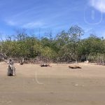 Hallan cuerpo de joven ahogado en Jiquilillo