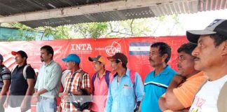 nicaragua, rio san juan, bono tecnologico, arroz, inta,