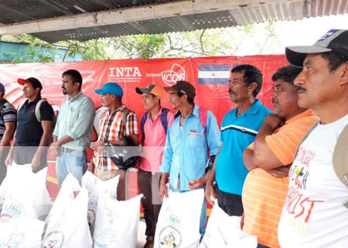 nicaragua, rio san juan, bono tecnologico, arroz, inta,