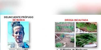 Nicaragua, Rivas, policía , plantío de marihuana