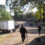 Managua: Delincuentes roban camioncito cargado de pollo y embutidos