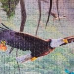 Colombianos arman el rompecabezas más grande del mundo