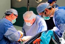Método robótico logra revertir insuficiencia cardiaca con señales eléctricas