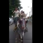 Rossalba Hueck se enfrenta a carretonero para defender a caballo