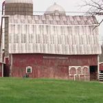 Hombre coloca un ‘muro’ de excremento luego de pelear con su vecino