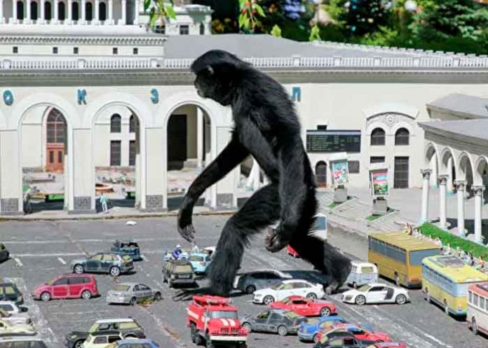 rusia1 Rusia, Internautas, King Kong, vida real,