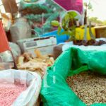 Con un carnaval celebran el inicio del ciclo productivo 2021 en Nueva Segovia nicaragua, nueva segovia, ciclo agrícola 2021, productores,