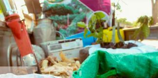 nicaragua, nueva segovia, ciclo agrícola 2021, productores,