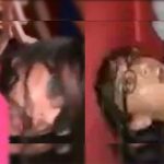 Aparece segunda parte en video de la sucia despedida de soltera