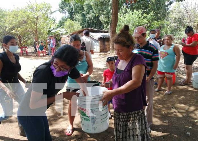 seguridad-alimentaria-11 nicaragua, bono tecnologico, plantas, seguridad alimentaria,