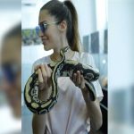 Exposición con más de 120 serpientes pretenden borrar la mala fama de esto animales