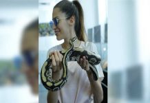 Exposición con más de 120 serpientes pretenden borrar la mala fama de esto animales