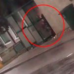 Videos: El sexo en la calle, la tendencia de las parejas