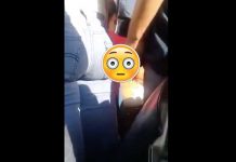 Video: Degenerado se la saca para rozársela a pasajera de un bus