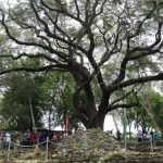 Familias de San Francisco Libre disfrutan de nuevo  parque