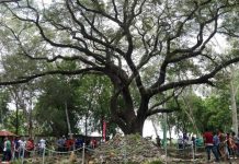 Familias de San Francisco Libre disfrutan de nuevo parque