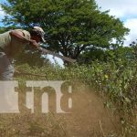 nicaragua, carazo, siembra de primera,