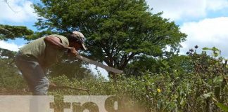 nicaragua, carazo, siembra de primera,