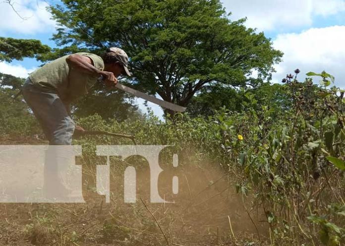 nicaragua, carazo, siembra de primera,