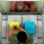 Simios ayudan a los humanos a no equivocarse