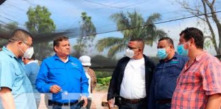 Nicaragua, Siuna, trámites para la exportación , empresas,