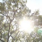 Pronostican altas presiones y nubosidad en Nicaragua